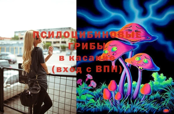 PSILOCYBIN Армянск