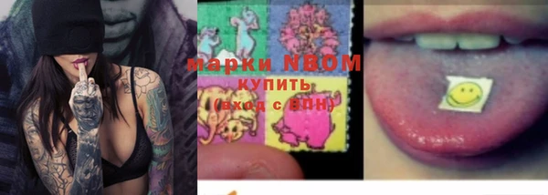 PSILOCYBIN Армянск