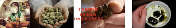 PSILOCYBIN Армянск