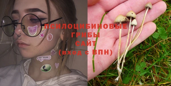 MDMA Premium VHQ Аркадак