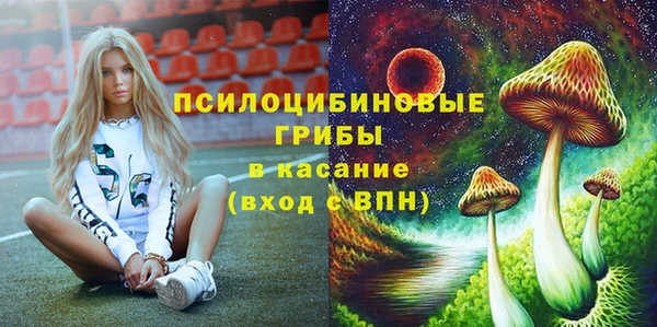 PSILOCYBIN Армянск