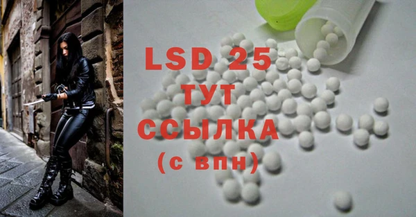 PSILOCYBIN Армянск